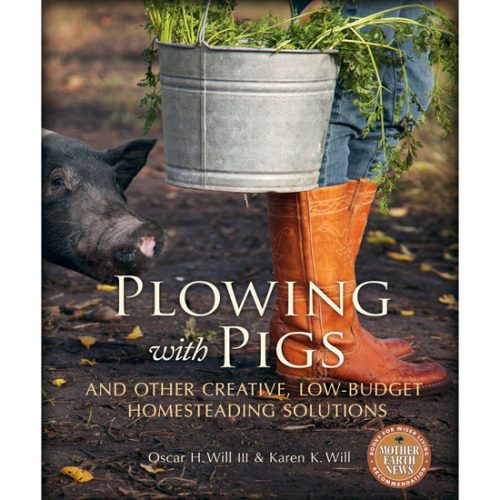 category article image